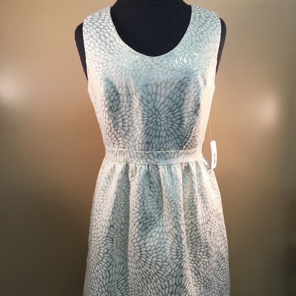 Beautiful Dress
